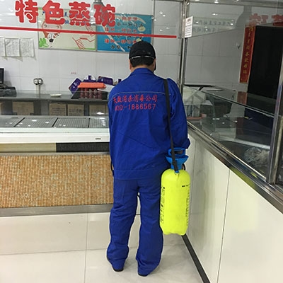 專業(yè)消毒服務