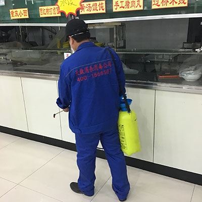 專業(yè)消毒服務