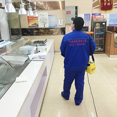 專業(yè)消毒服務